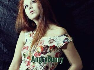AngryBunny