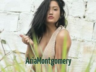 AriaMontgomery