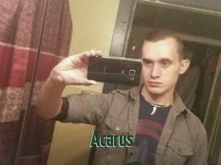 Acarus
