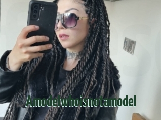 Amodelwhoisnotamodel