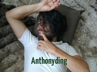 Anthonyding