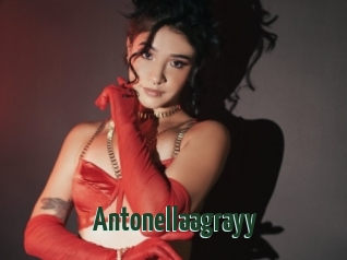 Antonellaagrayy