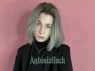 Antoniafinch