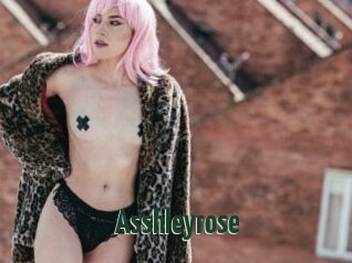 Asshleyrose