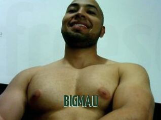 BIGMAU