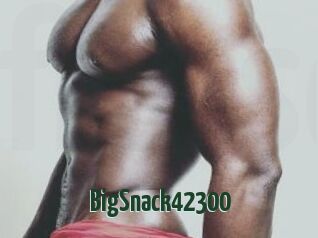 BigSnack42300