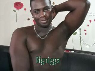 Bignigga
