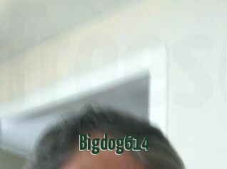 Bigdog614