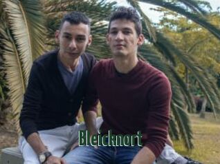 Bleicknort