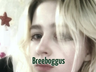Breeboggus