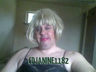 CDJANINE1182