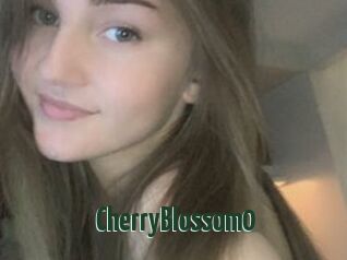 CherryBlossom0