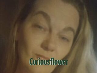 Curiousflower