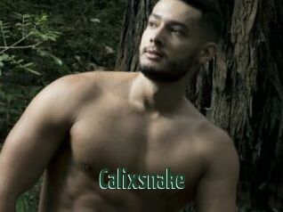 Calixsnake
