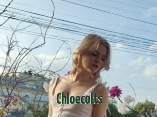 Chloecolts