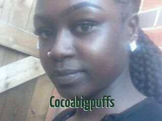 Cocoabigpuffs