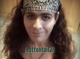 Cottontail28