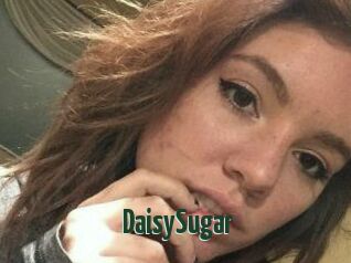Daisy_Sugar