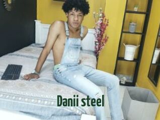 Danii_steel
