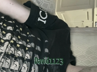 David1123