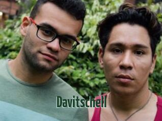 Davitschell