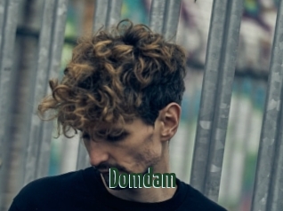 Domdam