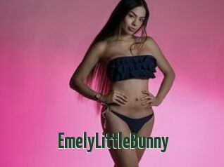 EmelyLittleBunny