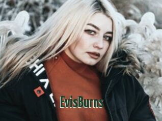 EvisBurns