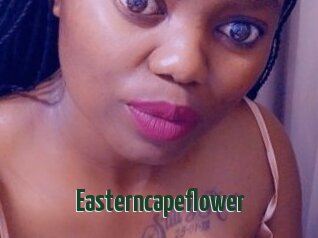 Easterncapeflower