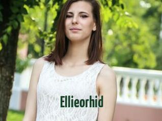 Ellieorhid
