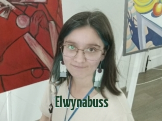 Elwynabuss