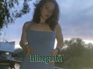 Erlineganter