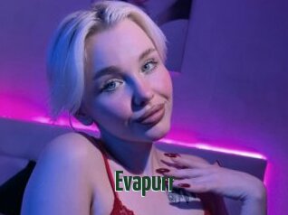 Evapurr