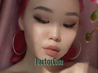 FactorCam