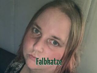 Falbkatze