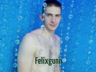 Felixgunn
