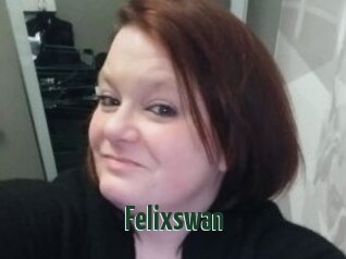 Felixswan
