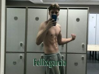 Fellixgarcia