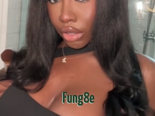 Fung8e