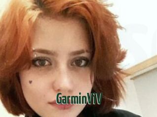 GarminViV