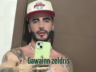Gawainn_zeldris