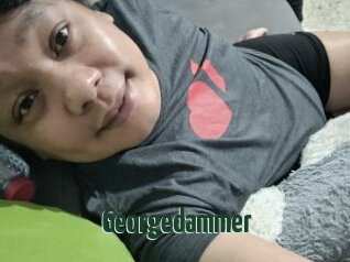 Georgedammer