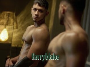 Harryblake