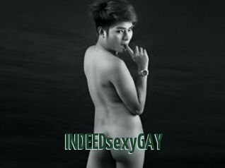 INDEEDsexyGAY