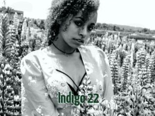 Indigo_22