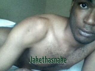 Jake_tha_snake