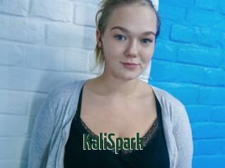 KaliSpark