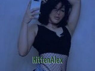 KittenAlex