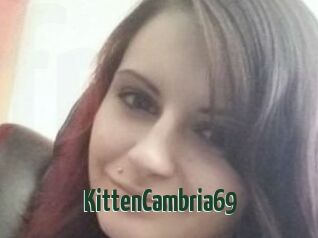KittenCambria69