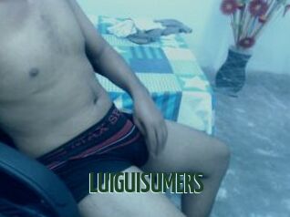 LUIGUISUMERS